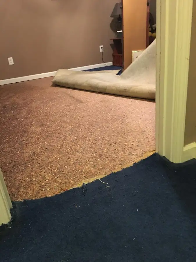 Carpet pad removal revealing water damage during Water Mitigation Services in Marshfield