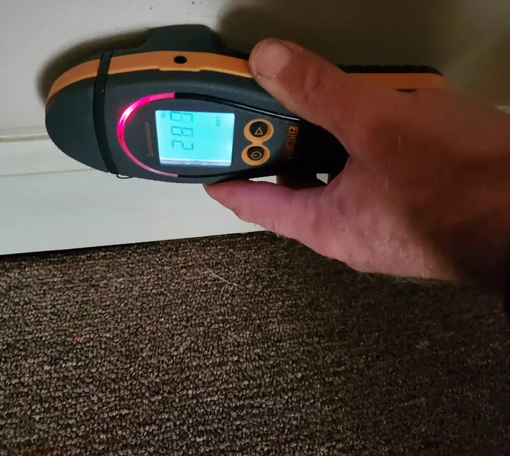 Moisture detection at baseboard during Sewage Cleanup & Sanitation in Marshfield